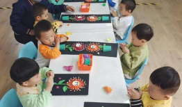 重阳节祝福视频,温馨祝福，共赏夕阳无限好